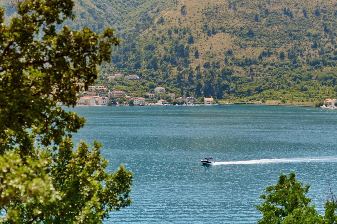 Iva'S Sea View Balcony Apartment Kotor Luaran gambar